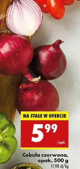 cebula czerwona