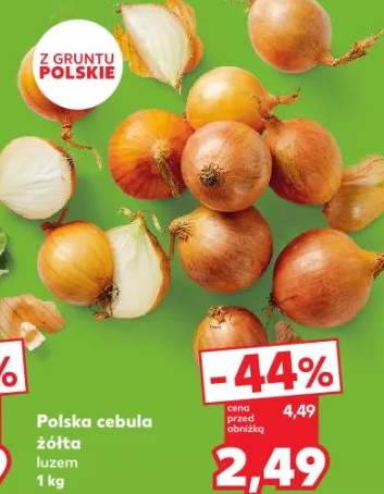 cebula żółta