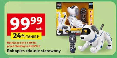 robot zdalnie sterowany