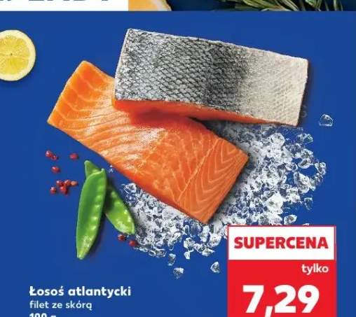 łosoś filet