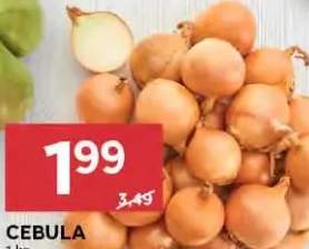 cebula