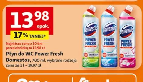 Płyn do WC Power Fresh