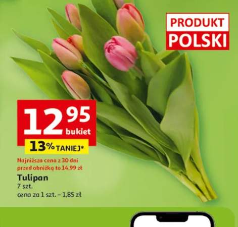 Tulipan 7 szt. cena za 1 szt. - 1,85 zł