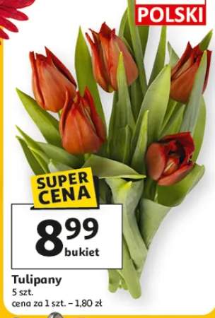 Tulipany