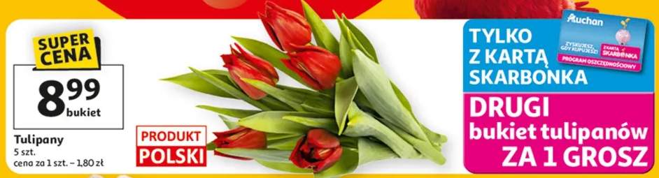 Tulipany 5 szt.
