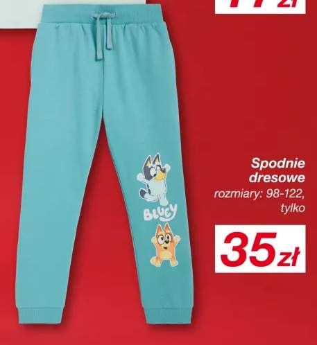 spodnie dresowe dziecięce