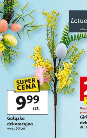 Gałązka dekoracyjna