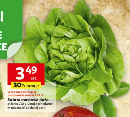 Sałata masłowa duża główka