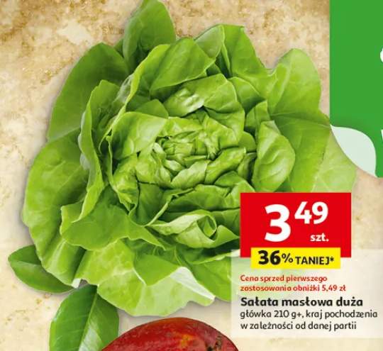 Sałata masłowa duża główka 210g+