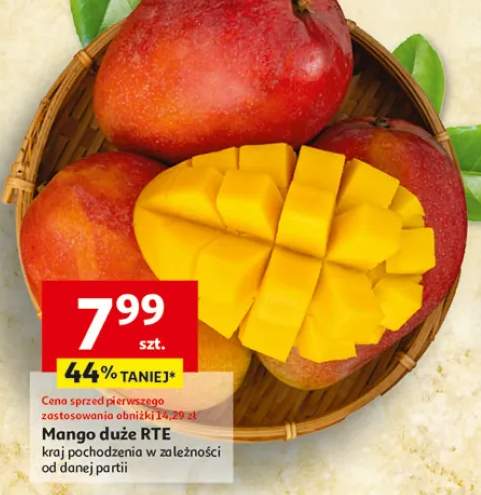 Mango duże RTE