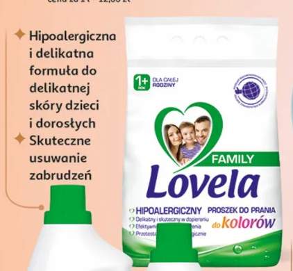 Płyn lub proszek do prania Family wybrane rodzaje
