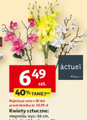 Kwiaty sztuczne: magnolia, wys.: 66 cm lub bukiet 3 frezji, wys.: 36 cm