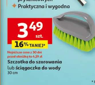 Szczotka do szorowania lub ściągaczka do wody 30 cm