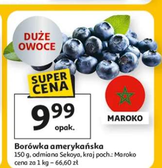 Borówka amerykańska