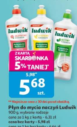 Płyn do mycia naczyń Ludwik, 900 g, wybrane rodzaje