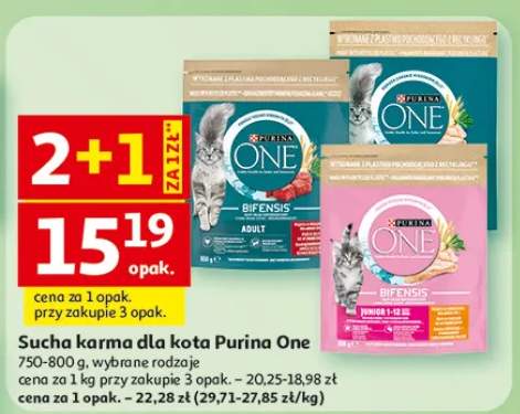 Karma sucha dla kota Purina One