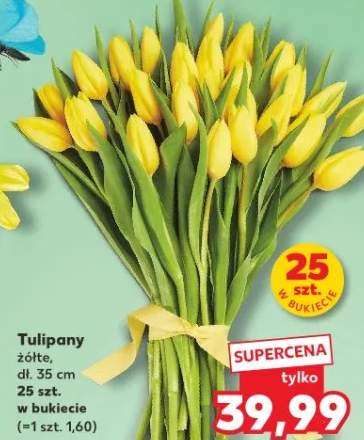 tulipany