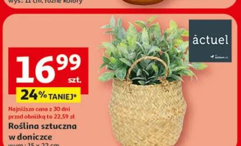 Roślina sztuczna w doniczce