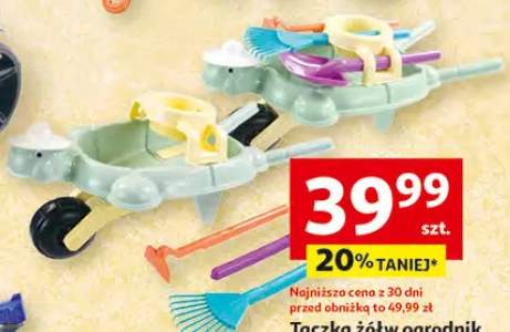 Taczka żółw ogrodnik