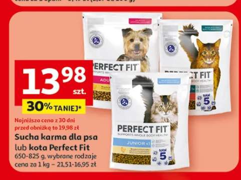 Sucha karma dla kota Perfect Fit