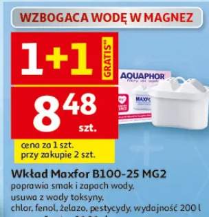 Wkład filtrujący Aquaphor Maxfor B100-25 MG2