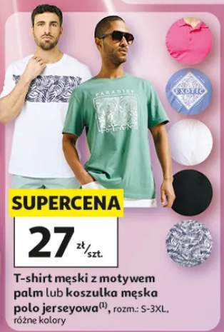 Koszulka męska polo jerseyowa Inextenso rozm. S-3XL różne kolory