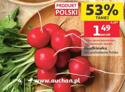 Rzodkiewka polska