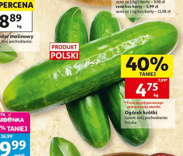 Ogórek krótki luzem polski