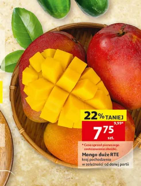Mango duże RTE