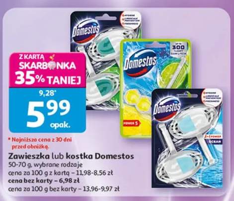 Zawieszka lub kostka Domestos