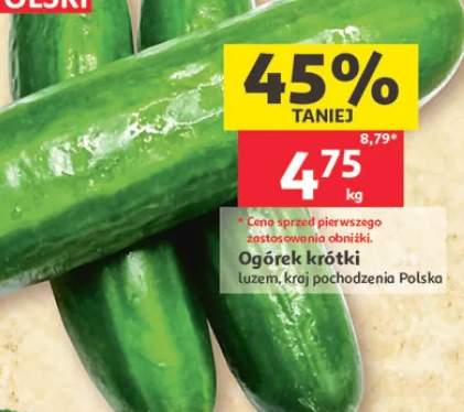 Ogórek krótki luzem polski