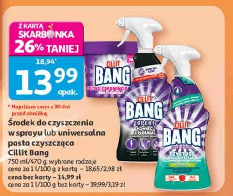 Środek do czyszczenia w sprayu Cillit Bang