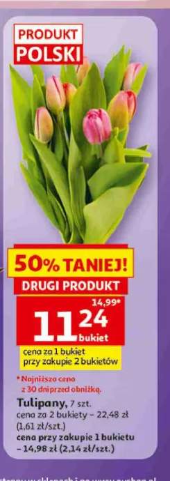 Tulipany polskie