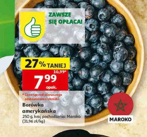 Borówka amerykańska Maroko