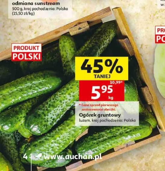 Ogórek gruntowy polski
