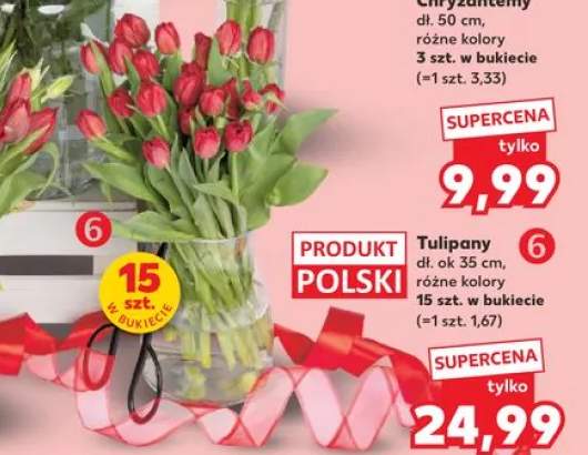 tulipany