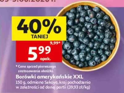 Borówki amerykańskie XXL odmiana Sekoya