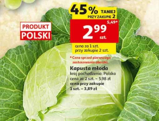 Kapusta młoda polska