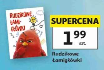 Książka Rudzikowe Łamigłówki