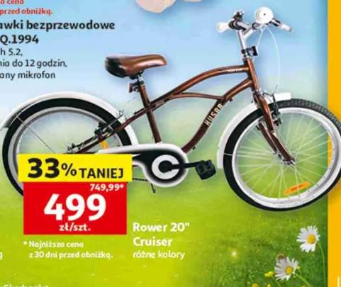 Rower 20" Cruiser