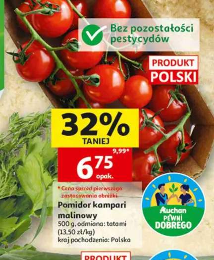 Pomidor kampari malinowy odmiana tatami bez pozostałości pestycydów polski