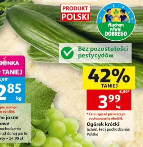Ogórek krótki bez pozostałości pestycydów polski