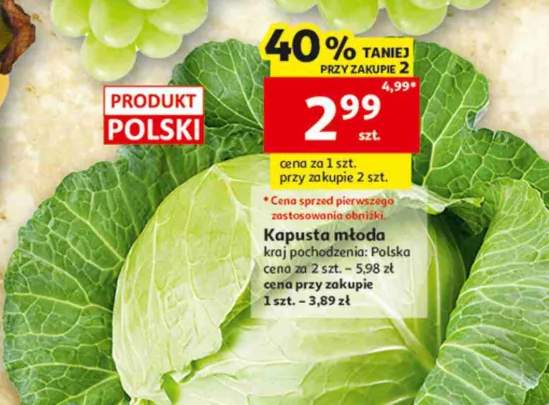 Kapusta młoda polska