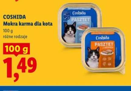 karma dla kota