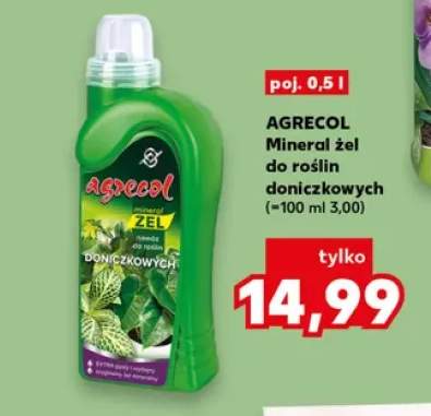 rośliny doniczkowe