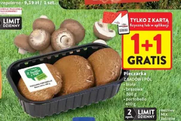 pieczarki