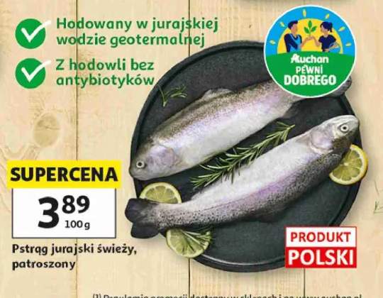 Pstrąg jurajski świeży patroszony