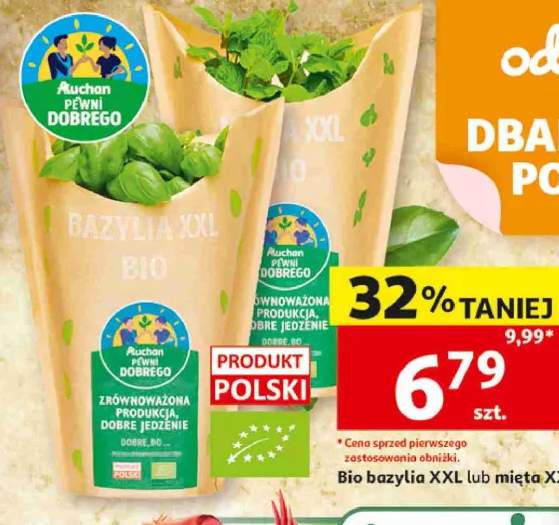Bio bazylia XXL Auchan Pewni Dobrego