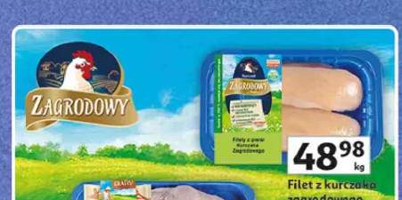 Filet z kurczaka zagrodowego