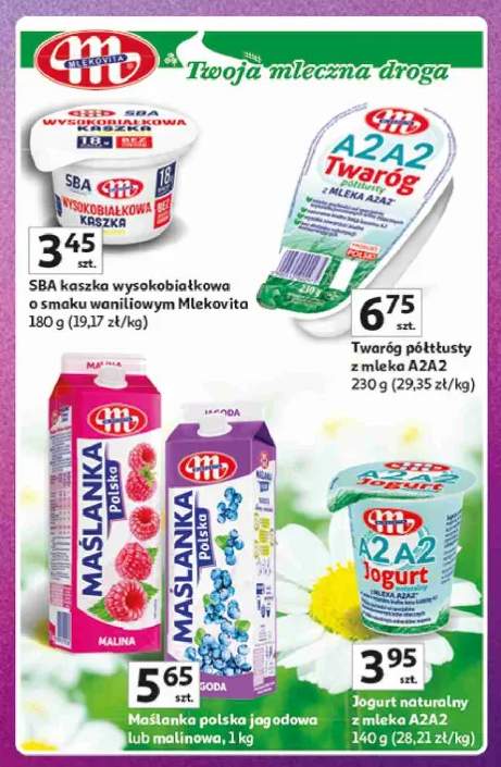 Maślanka polska jagodowa Mlekovita
